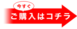 今すぐ購入！